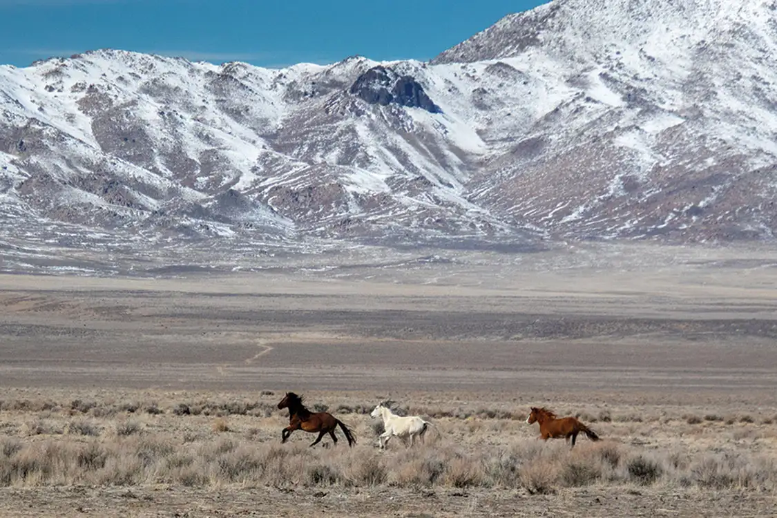 The area between Lovelock and Gerlach, Nevada