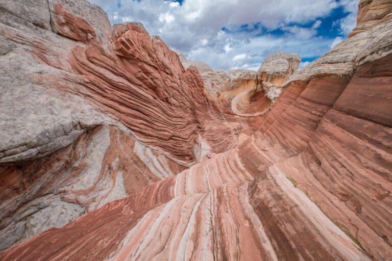 Dajiban Phenomenon: Unveiling the Underground World of Japanese Circuit ...
