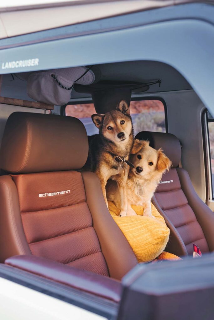 Two small dogs pose for the camera between the two brown leather front seats of the SUV.
