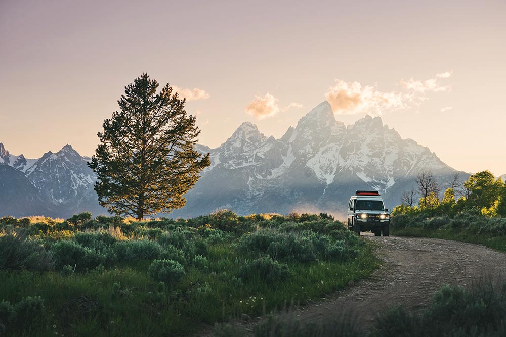 The SUV approaches on a dirt road, traveling past a large tree in a mountain landscape.