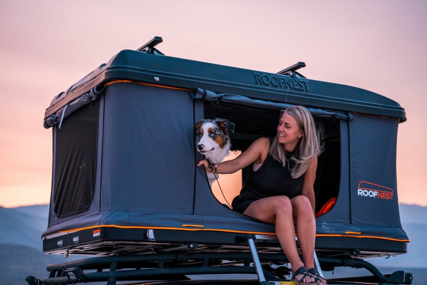 Roofnest Sparrow Adventure unfolded with a dog and person