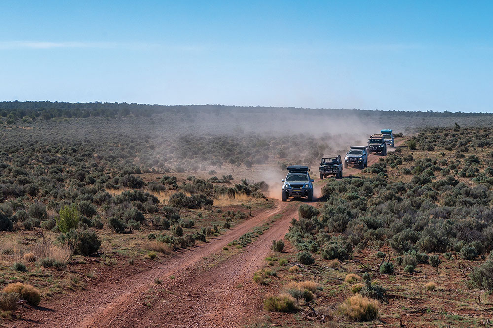Six overlanding vehicles caravan through the desert near the Grand Canyon on a path through low shrubbery.