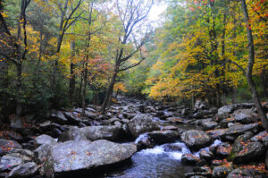 Autumn Camping- Great Smoky Mountains NP