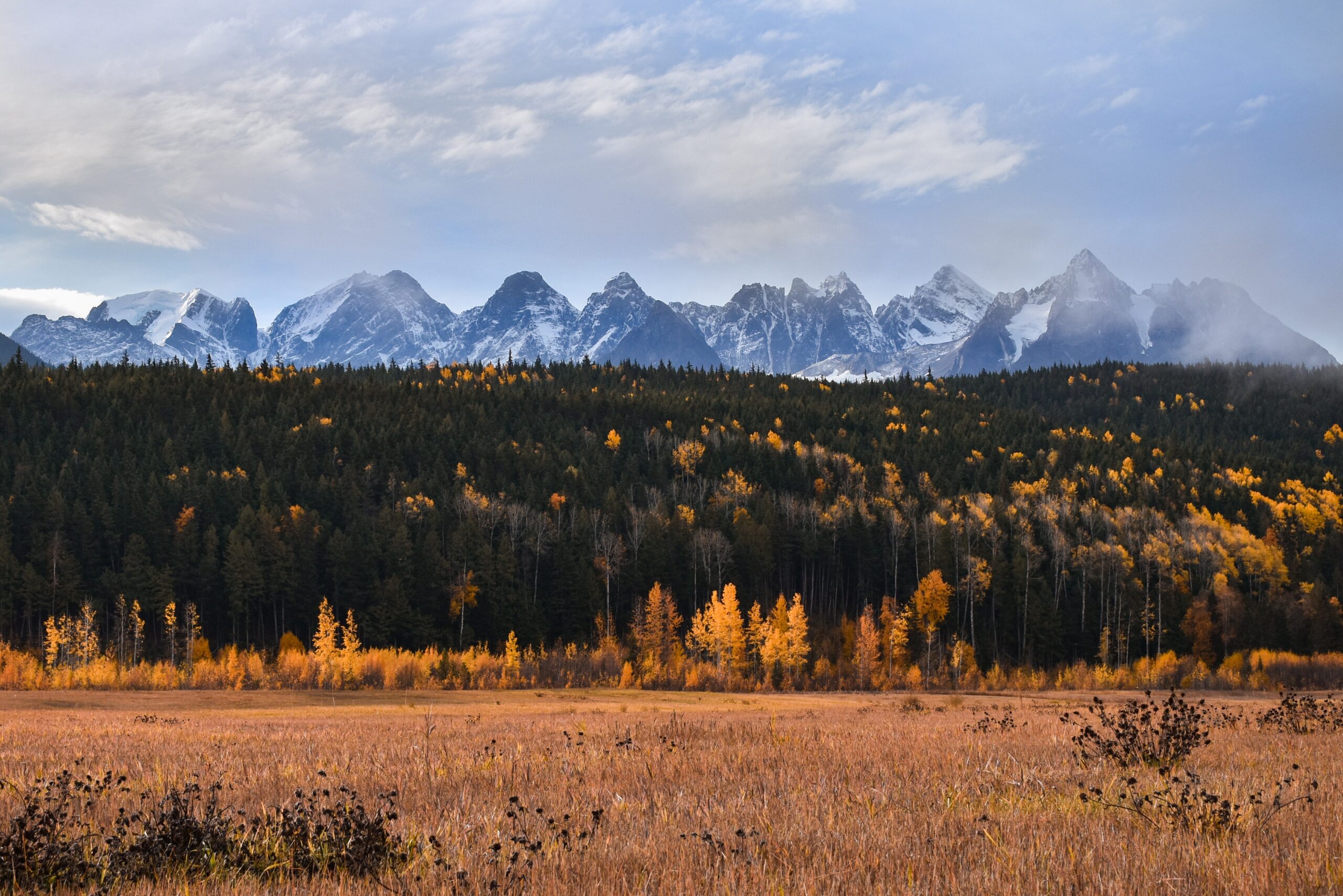 An Autumn Landscape; Autumn Camping