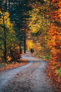 autumn camping trails 