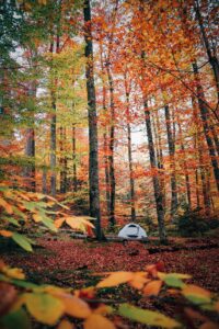 Autumn Camping in Fall Foliage