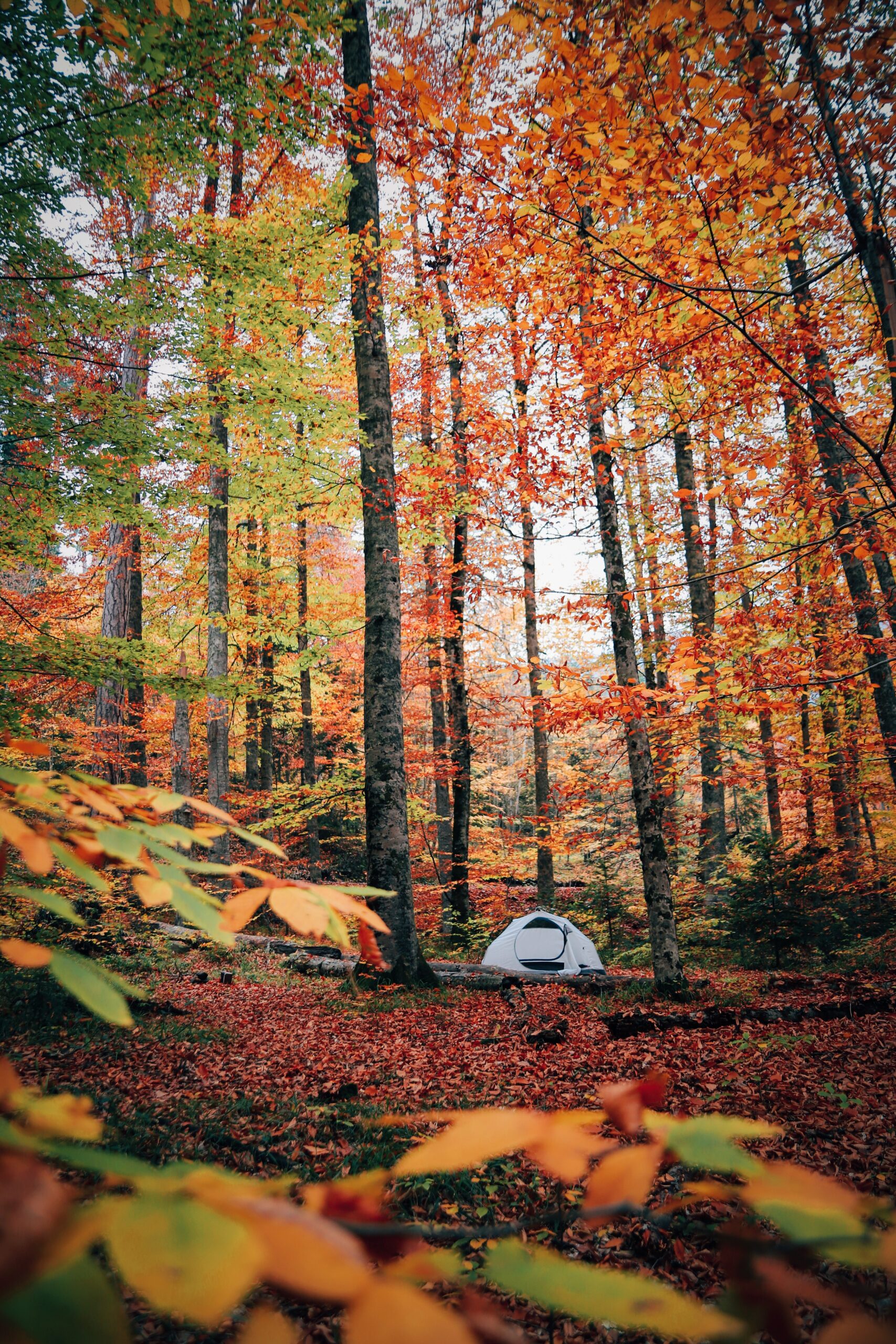 Autumn Camping Get Out There This Fall
