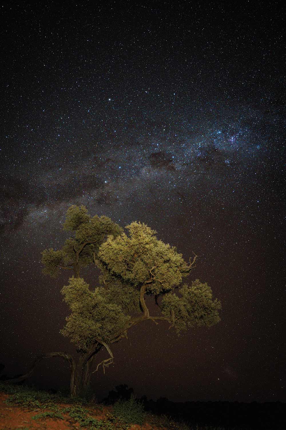 The Southern Hemisphere stars put on a mighty show in the desert.