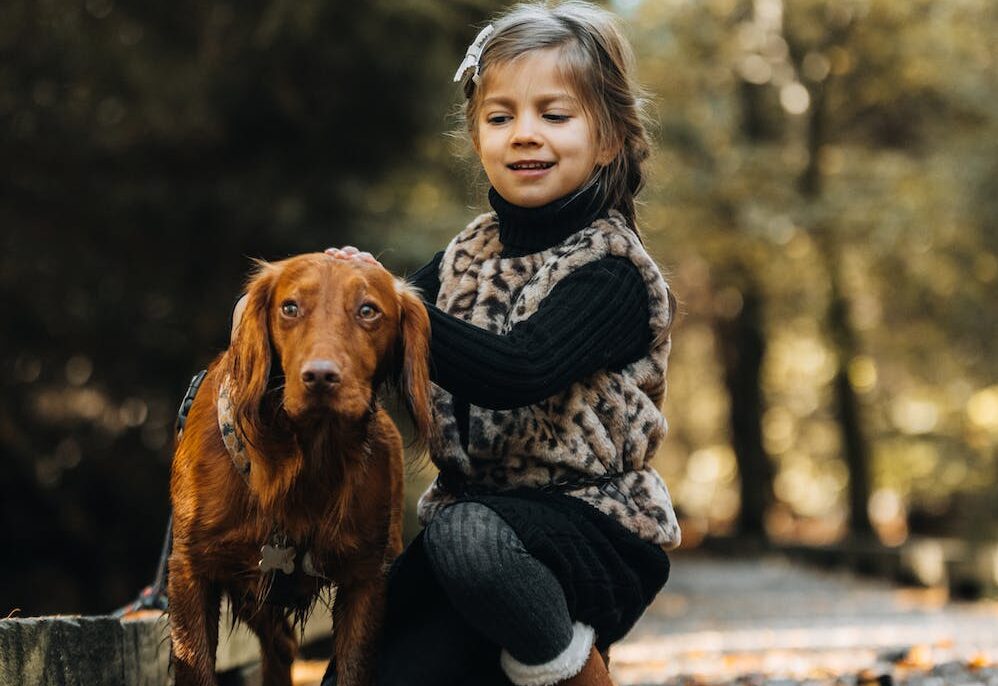 Young girl hugs brown dog on a path in the forest
