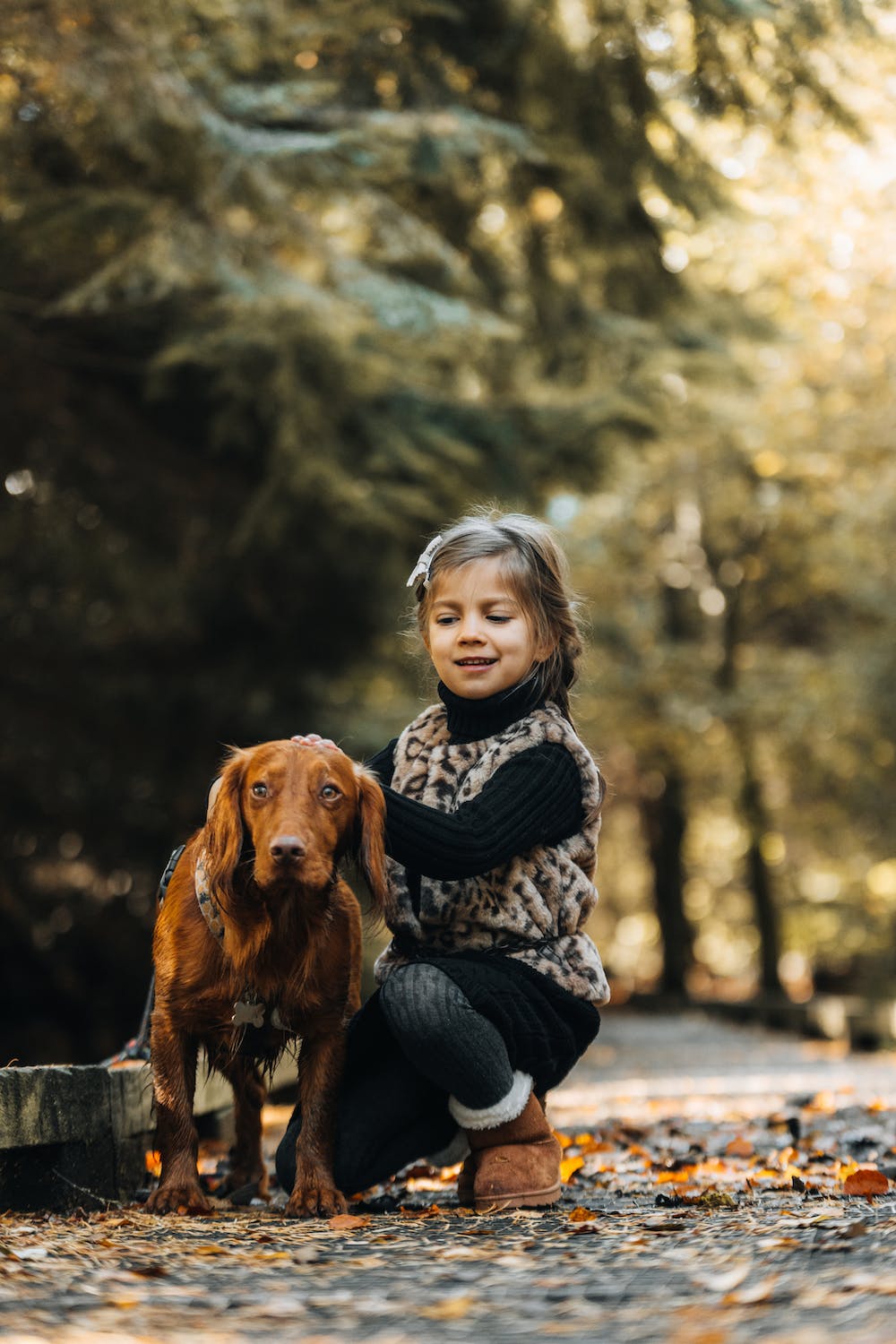 Young girl hugs brown dog on a path in the forest