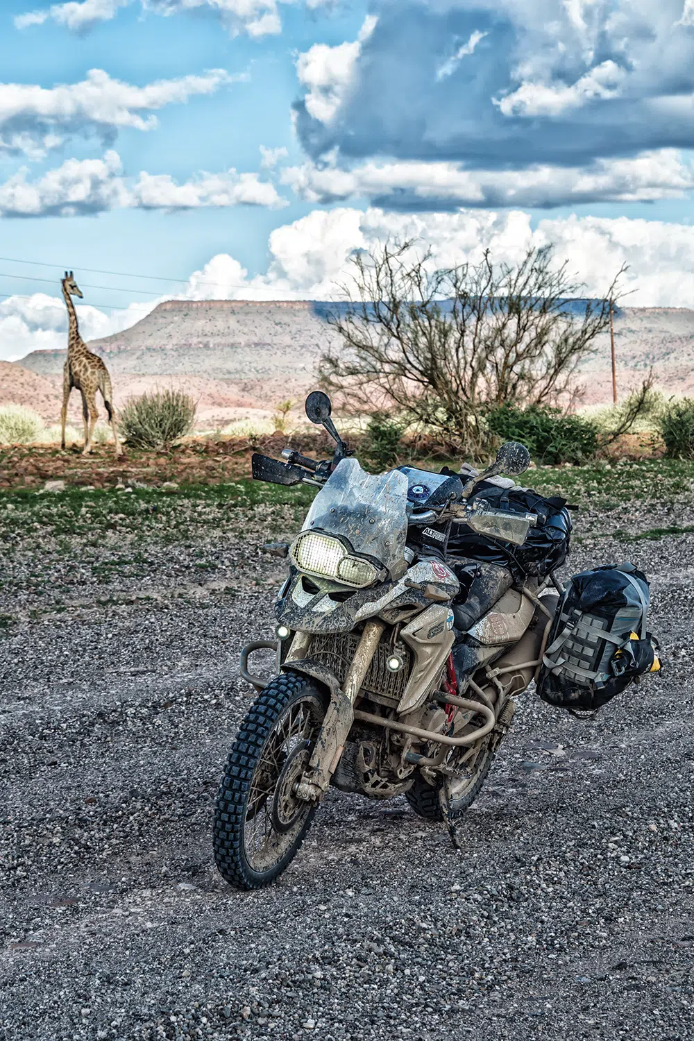 Heather’s F800 rests as a giraffe passes nearby in Namibia