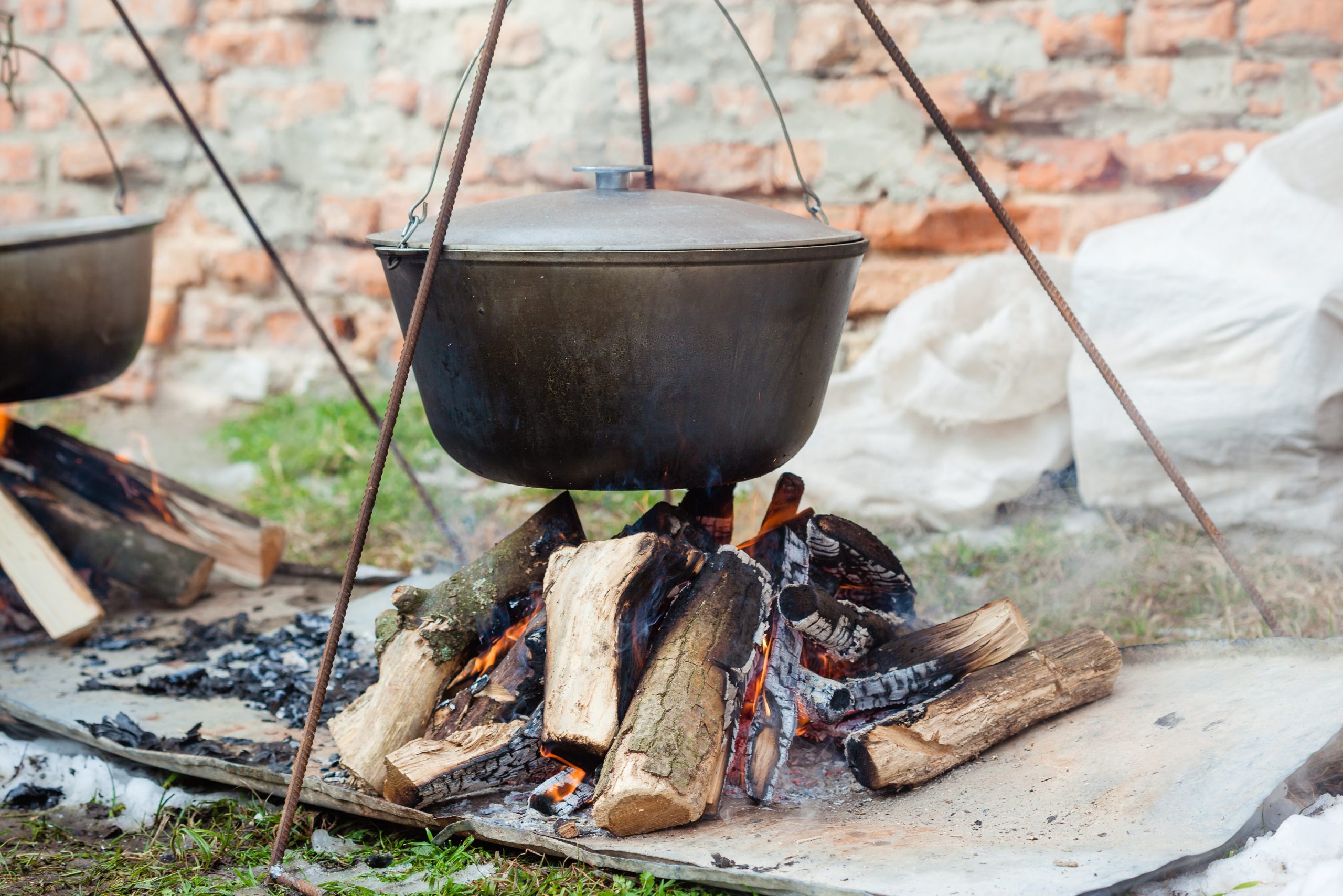 camping dutch oven garlic chicken, camping recipes