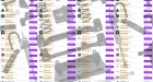 car parts reviews