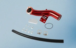 egr delete