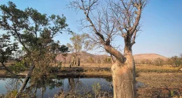 Northern Australia Adventure