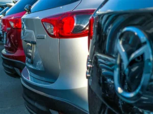 what info can you get from a license plate