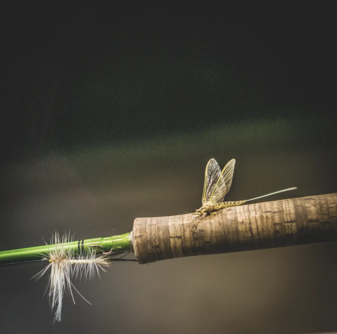 Choosing the Right Fly Rod