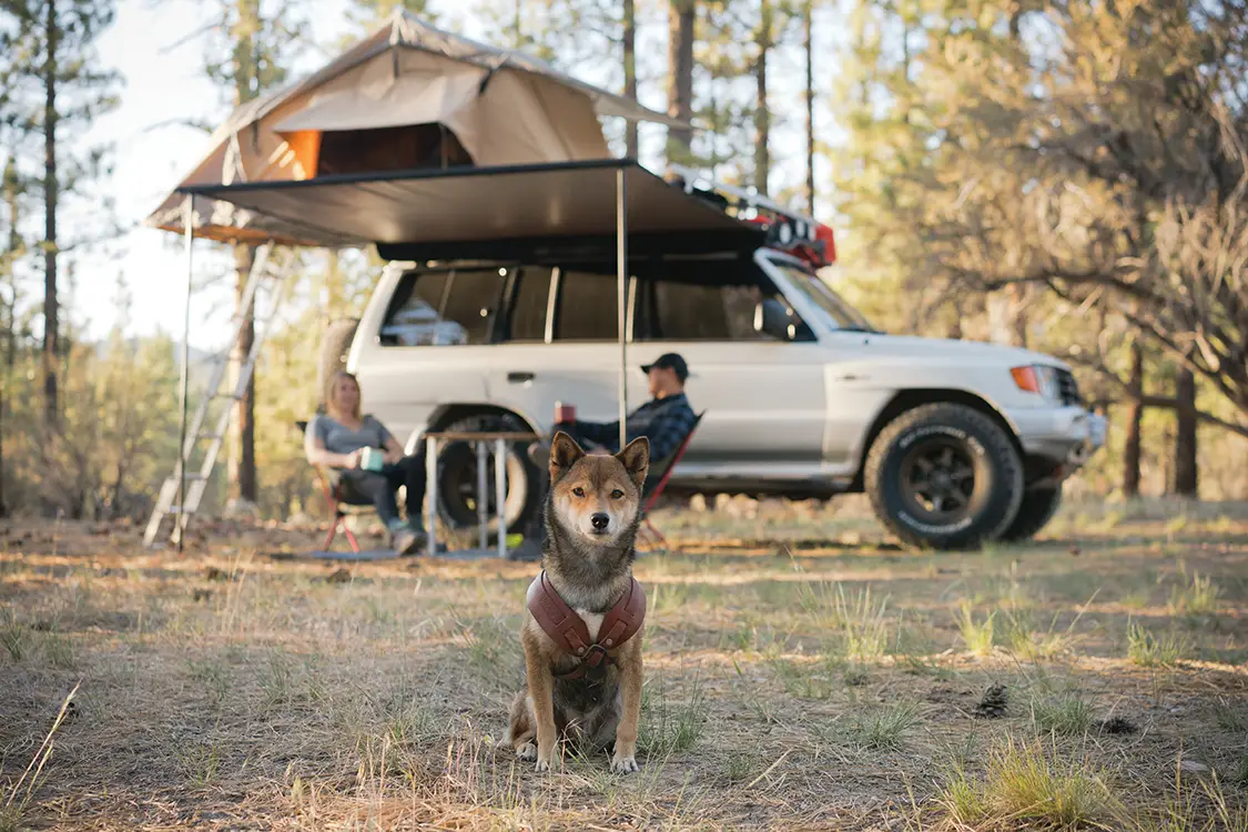 1999 Mitsubishi Montero