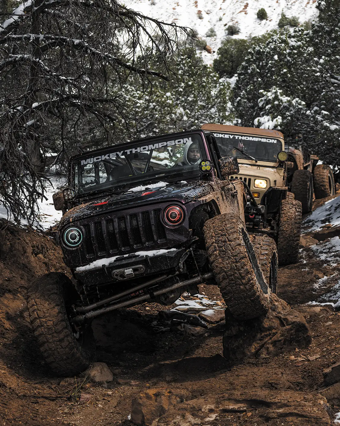 Great American Crawl