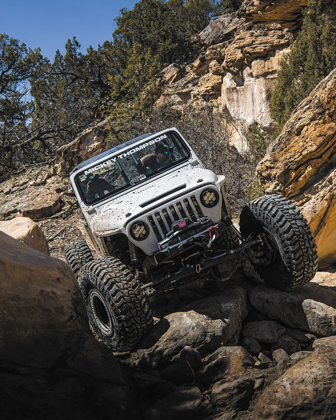Great American Crawl